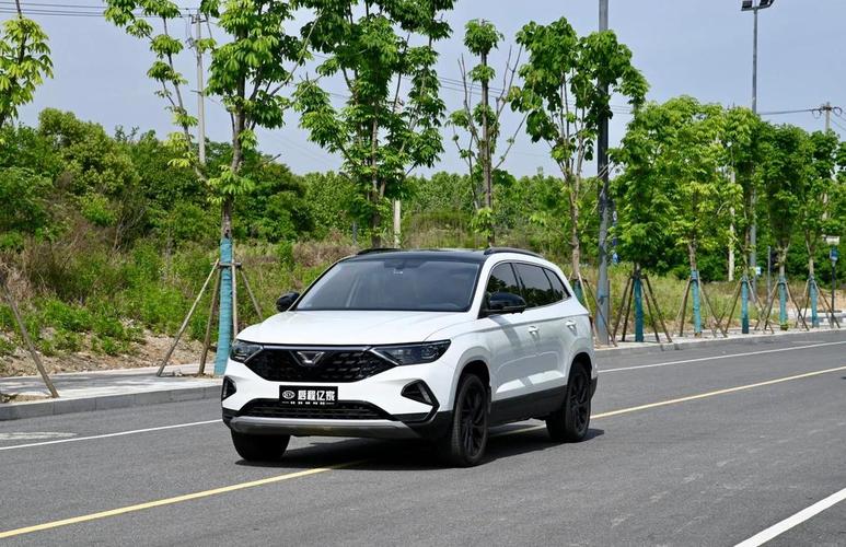 捷达vs9七座最新图片(买捷达vs7十大忠告)