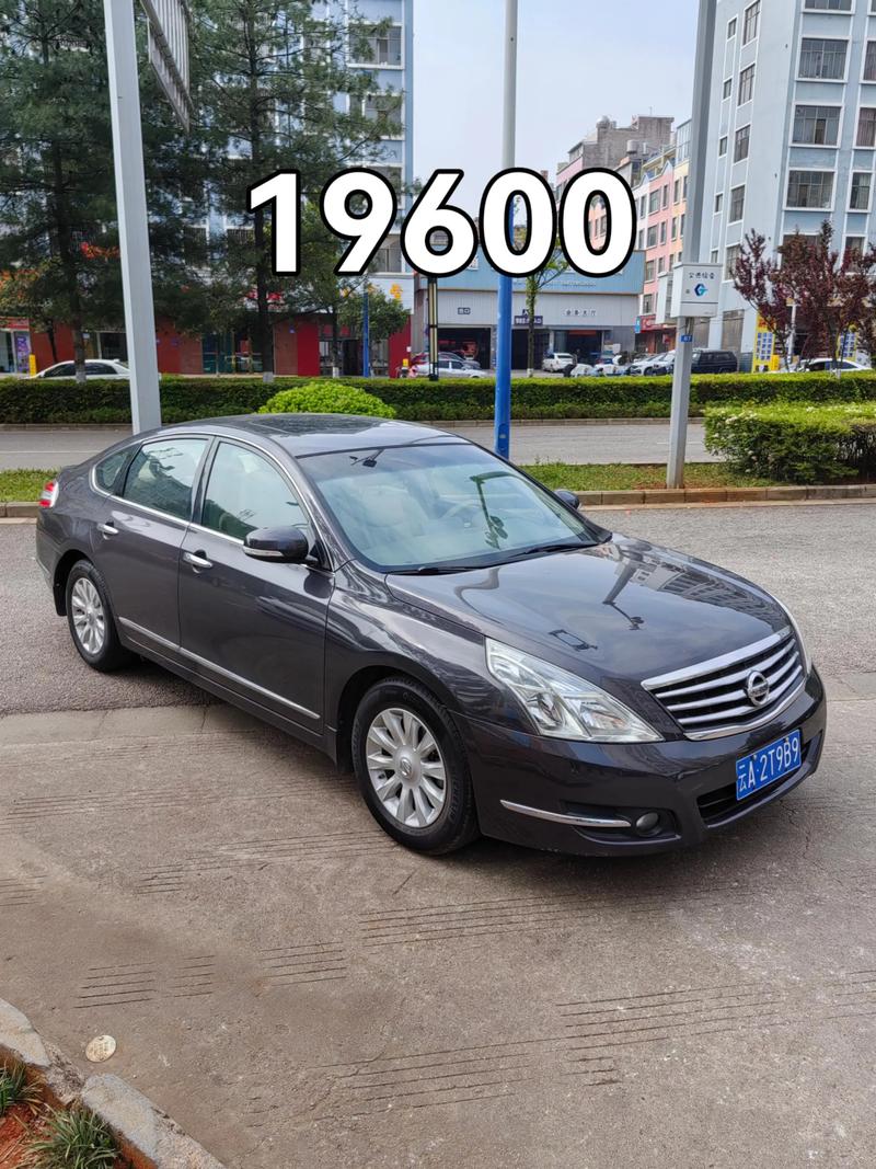 尼桑价格,尼桑价格多少