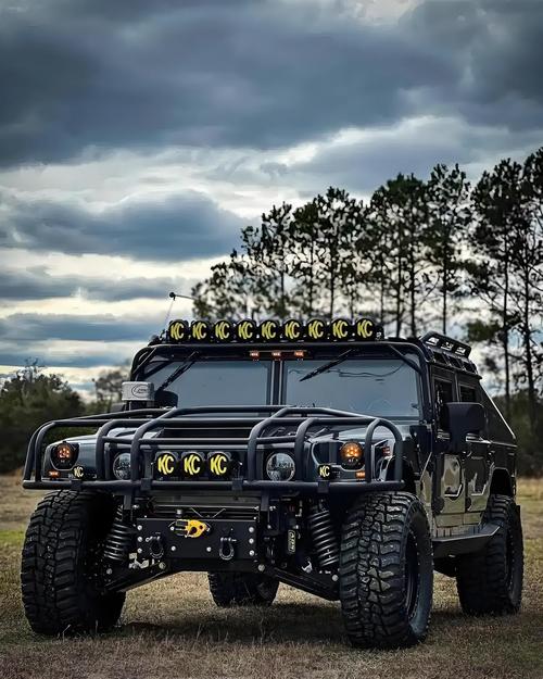 悍马车型八百万的悍马 悍马800万