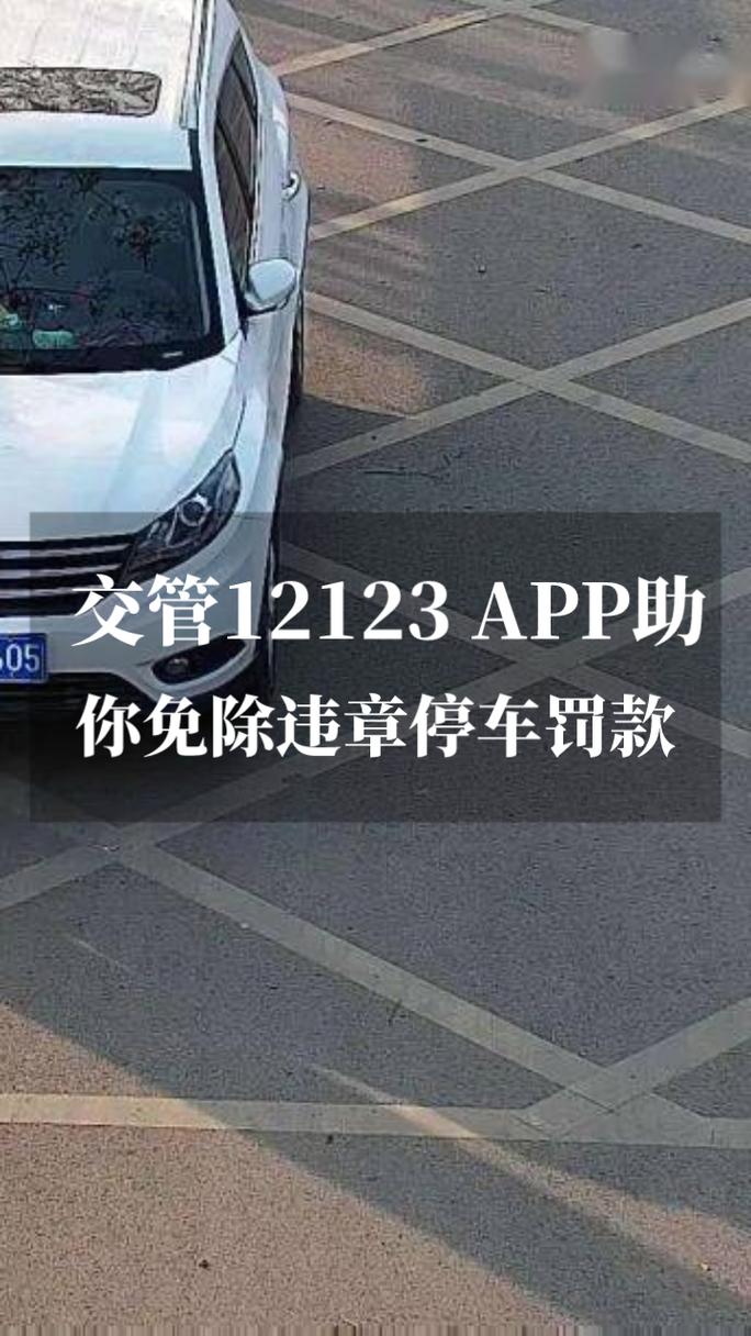 大连查违章怎么网上查／大连违章查询12123