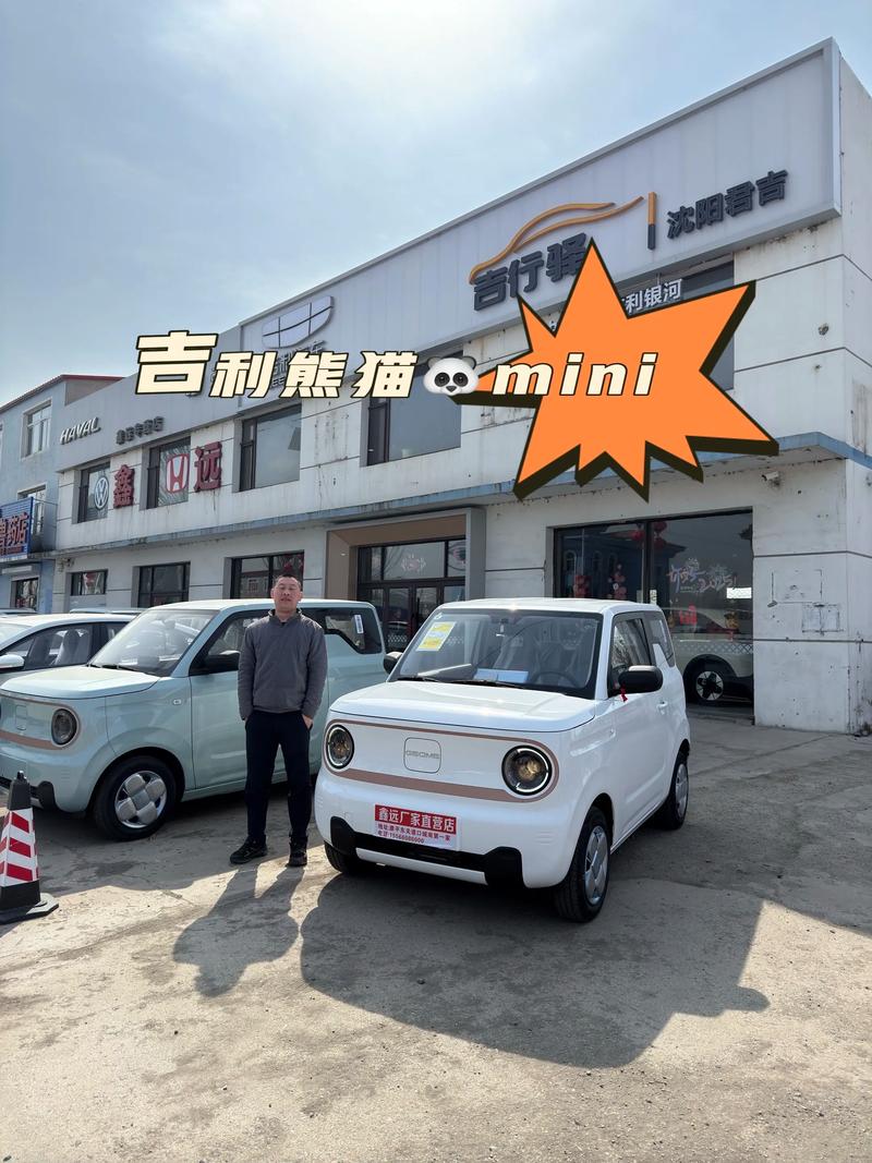 吉利熊猫一般能开几年 买吉利熊猫的10大忠告