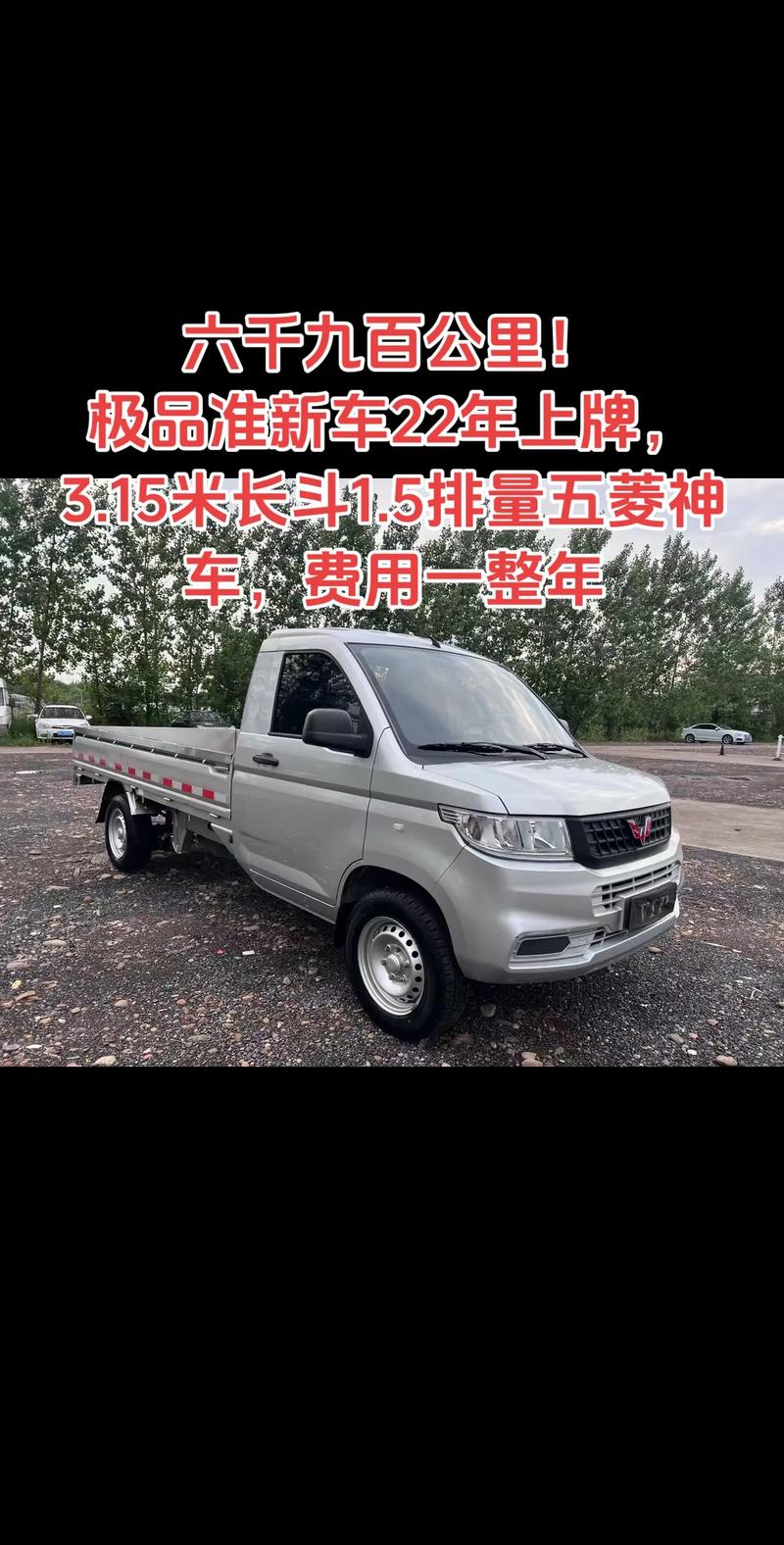 微型轻卡小货车 微型轻卡小货车价格及图片