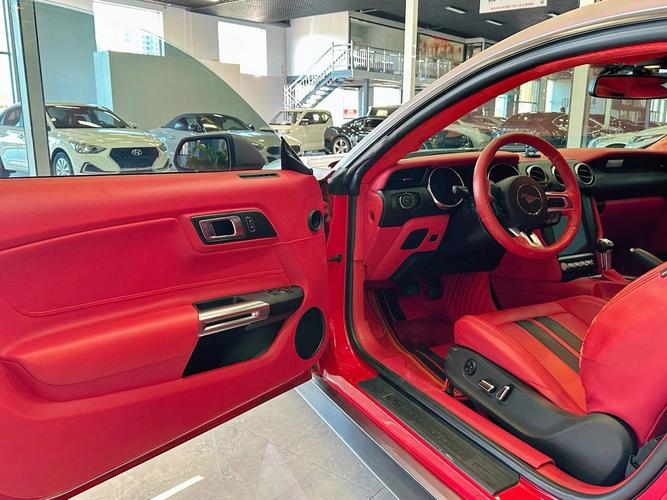 【野马标志,野马标志有2种】