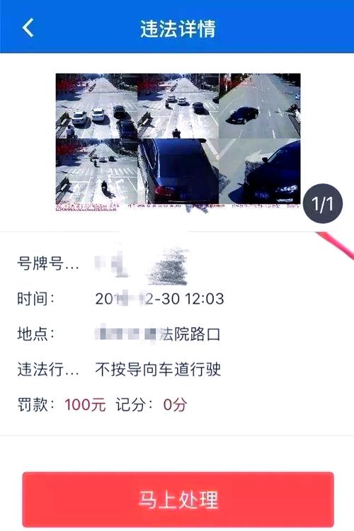 交通违章罚款网上缴费app 非车主查违章用什么软件