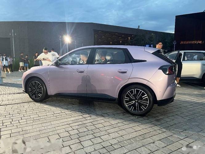 极狐最建议买的颜色(极狐性价比)